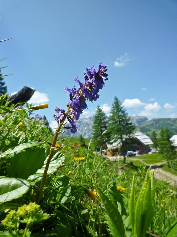 Hotel Almhotel Kaernten Sonnenalpe Nassfeld