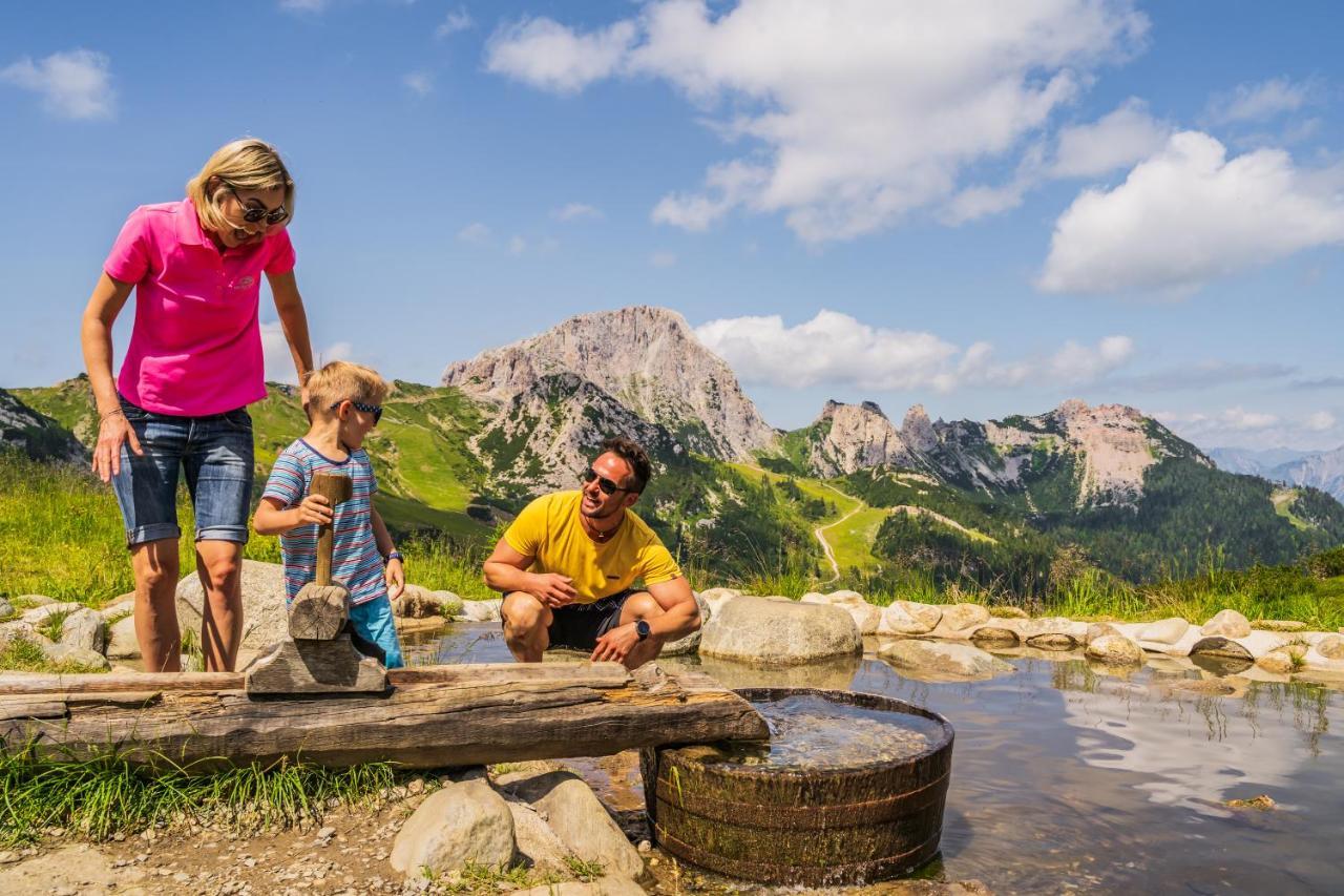 Almhotel Kaernten 4* Sonnenalpe Nassfeld